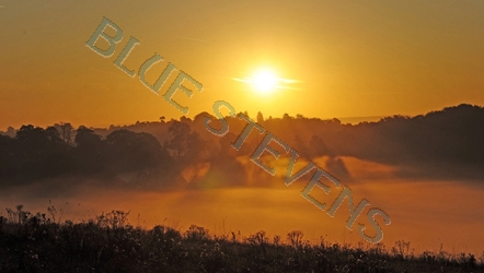 sunrise over loseley